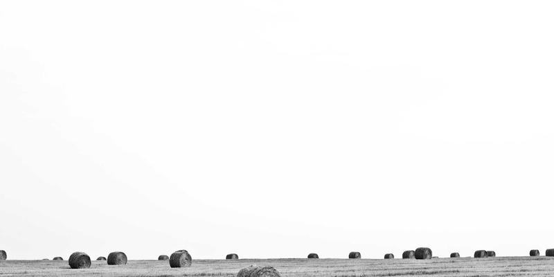 2024年编程开发趋势前瞻:技术博客与资源分享如何重塑开发者成长路径