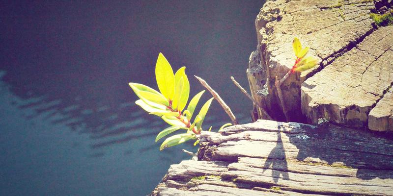 5G网络技术：企业数字化转型的加速器与挑战解析 | 技术博客与数字资源分享