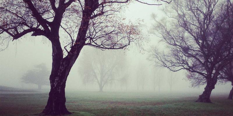 IPv6部署实战指南：编程开发与网络安全视角下的难点解析与解决方案