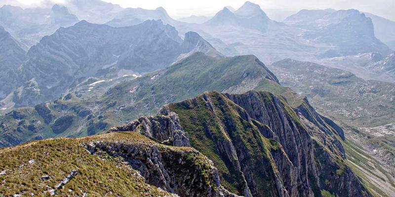 P4语言：用波西米亚风的编程哲学，解锁下一代网络数据平面的灵活性与效率