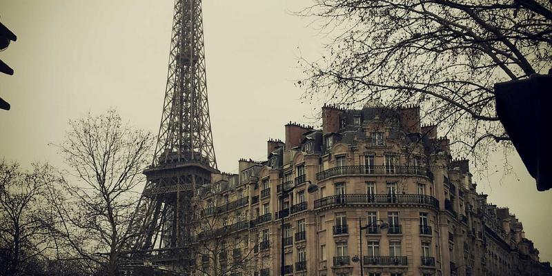 从技术博客到数字资源库：编程开发案例中的流量增长密码