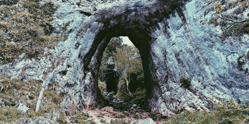 数字资源与编程开发：高效资源分享如何驱动技术成长