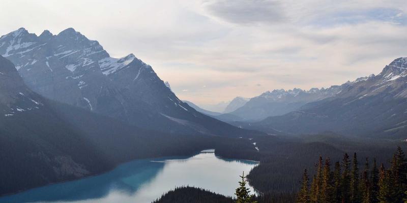 网络安全新范式：NetDevOps实践指南与编程开发案例解析