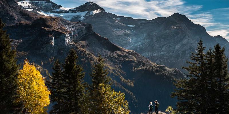网络技术19：构筑数字时代的网络安全防线与资源共享生态