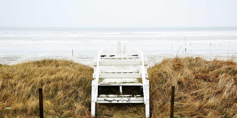 网络技术22:构建技术博客,分享网络资源与知识的实践指南