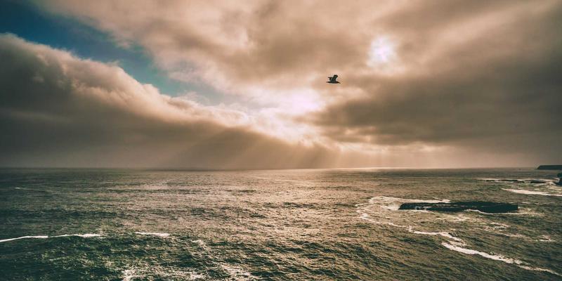 网络技术3.0时代：技术博客如何赋能编程开发者的持续成长