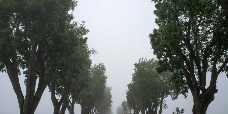 边缘计算网络：解锁低延迟应用场景的架构设计与优化策略